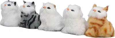 Immagine prodotto di 5 peluche di gatto, modelli simulati, graziosi e morbidi elementi decorativi per la casa, compagni interattivi