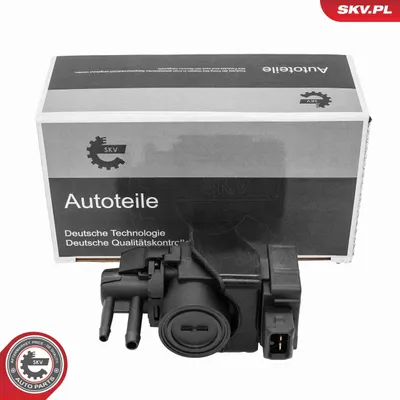 Obrázek produktu pro zawór ciśnienia RENAULT Clio III Kangoo DACIA Duster,149568021R