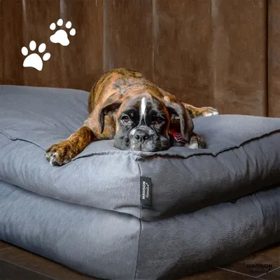 Image de Madison Coussin pour chien Panama 120x90x15 cm Gris