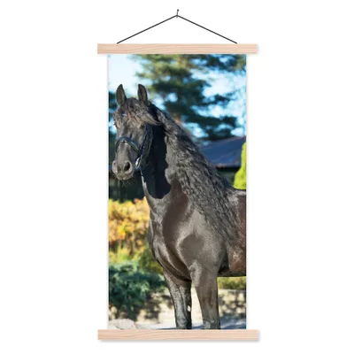 Produktbild von MuchoWow® Textilposter Sonne - Friesisch - Pferd 60x120 cm mit holzfarbenen Rahmen - Holz