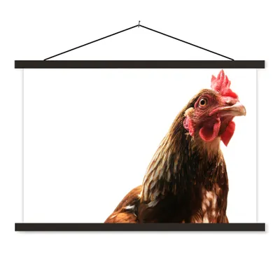Produktbild von MuchoWow® Textilposter Hahn - Bauernhoftiere - Federn 90x60 cm mit schwarzem Rahmen - Aufhängungssatz