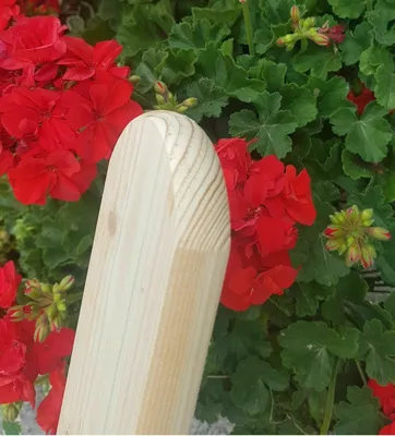 Zdjęcie produktu dla Listwa ogrodzeniowa 9 x 2 x 170 cm z modrzewia syberyjskiego, wzór A