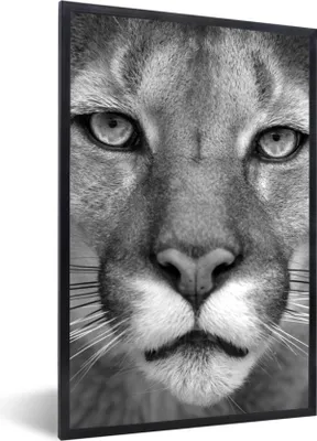 Produktbild von MuchoWow® Gerahmtes Poster Panther - Wildlife - Schwarz - Weiß 20x30 cm - Poster mit Schwarzem Bilderrahmen Wandposter Rahmen Foto Bilder - Drucken - Bilder Poster im Rahmen