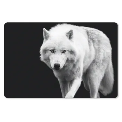 Produktbild von MuchoWow® Mauspad Mousepad Wolf - Tier - Schwarz - Weiß 27x18 cm - Mousepads - Maus Mat - Pad - Mausunterlage - Büroartikel - Desk Matten