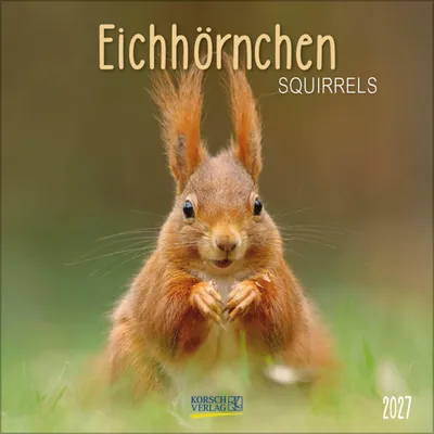 Produktbild von Korsch Kalender 2027 Eichhörnchen mit großen Bildern, viel Platz für Notizen & Feiertage