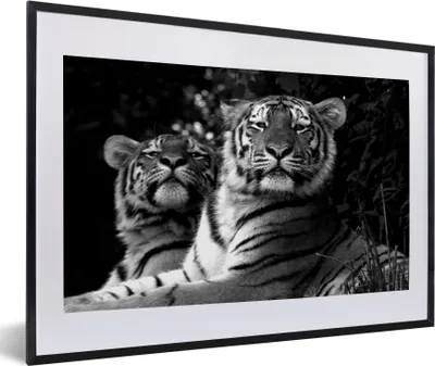 Produktbild von MuchoWow® MuchoWow® Gerahmtes Poster Tiger - Tiere - Schwarz - Weiß 60x40 cm - Poster mit zchwarzem Bilderrahmen - Schlafzimmer - Plakat in Rahmen - Drucken