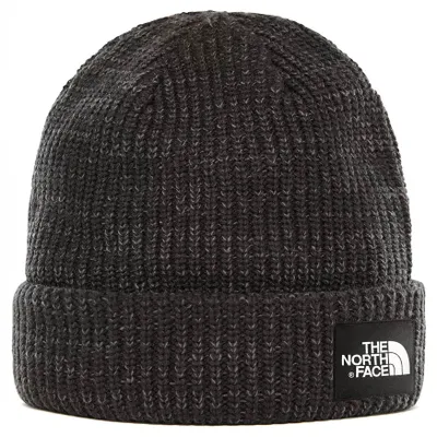 Obrázek produktu pro Čepice The North face Salty Dog Beanie