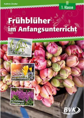 Image de Frühblüher im Anfangsunterricht