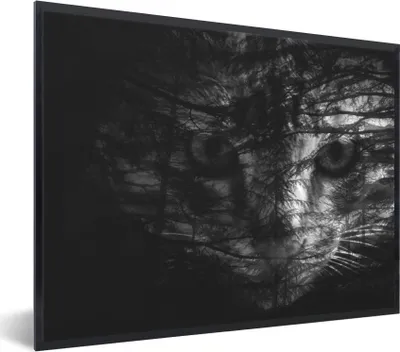 Produktbild von MuchoWow® MuchoWow® Gerahmtes Poster Katze - Wald - Schwarz - Weiß 80x60 cm - Poster mit zchwarzem Bilderrahmen - Schwarzem - Mit Gestell