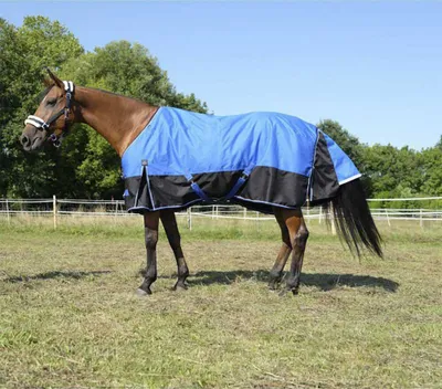 Produktbild von EQUITHÈME TYREX 1200D Aisance Decke, Outdoordecke 0 g, Farbe:blau/schwarz, Größe:Rückenlänge 145 cm Polyfil 0 g