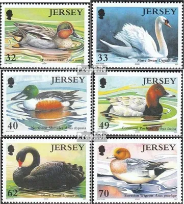 Produktbild von Briefmarken GB - Jersey 2004 Mi 1122-1127 (kompl.Ausg.) postfrisch Gänsevögel