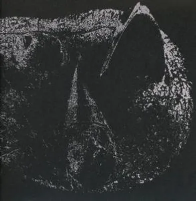 Produktbild von Viscera (hardcover digisleeve)
