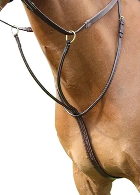 Produktbild von Salisbury - Ringmartingal, Leder ER554 (Pony) (Dunkelbraun)