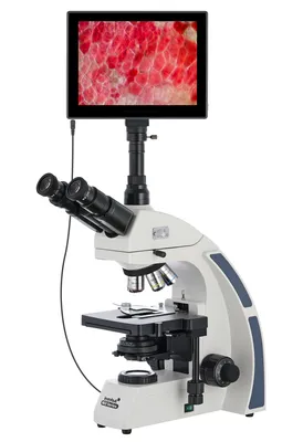 Obrázok produktu pre Levenhuk - 74006 - MED D40T LCD digitálny trinokulárny mikroskop