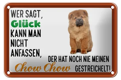 Produktbild von Blechschild Spruch 18x12cm Glück nicht anfassen Chow Chow