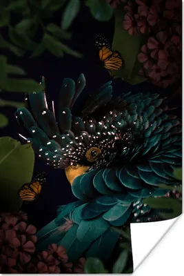 Produktbild von MuchoWow® Poster Kakadu - Vogel - Dschungel 120x180 cm - Kunstposter