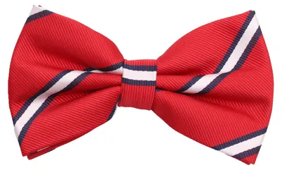Produktbild von Fabio Farini - 1 Stück Herren Streifen Fliegen - Männer Querbinder Vorgebunden Bowtie Streifen - Rot/Weiß/Blau
