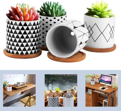 Produktbild von Keramische Cactus Pflanztöpfe 4er Set 7CM