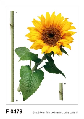 Image de Sanders & Sanders sticker mural tournesol jaune et vert 85 x 65 cm