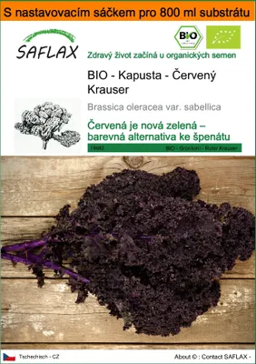 Obrázek produktu pro SAFLAX Garden in the bag - BIO - Kapusta - Červený Krauser - Brassica oleracea var. sabellica - 50 Semena - S pěstebním substrátem v praktickém samovztyčovacím sáčku