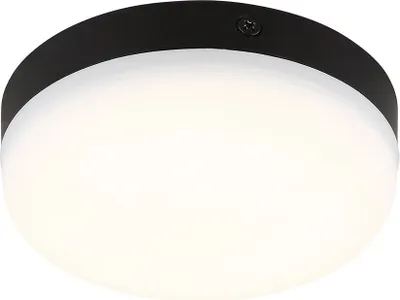 Produktbild von LED Deckenleuchte, schwarz matt, D 12 cm