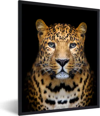 Produktbild von MuchoWow® MuchoWow® Gerahmtes Poster Panther - Tiere - Schwarz 60x80 cm - Poster mit zchwarzem Bilderrahmen - Premium - Wanddeko Wohnzimmer