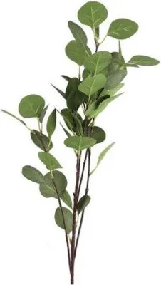 Immagine prodotto di Prodotti da giardino