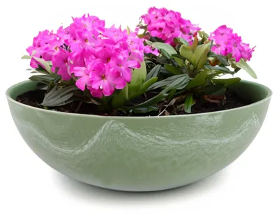 Produktbild von Runde bauchige 25 cm Pflanzschale für draussen, grün marmoriert