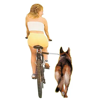 Produktbild von Camon Fahrradstange Walky Dog - Fahrradanhänger - Metall