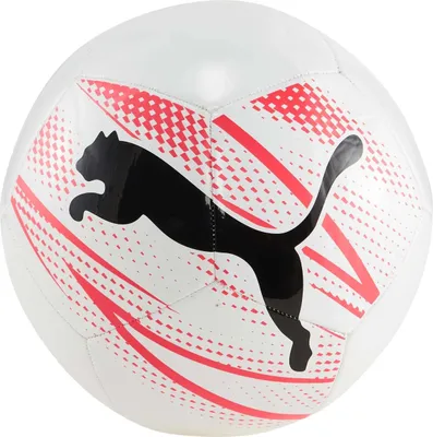 Image de Puma Soccer ball 084073-10 in White color size 5