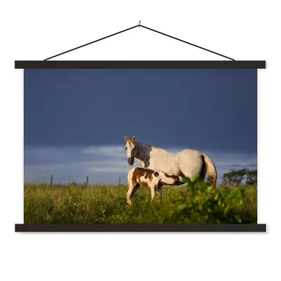 Produktbild von MuchoWow® Textilposter Pferde - Gras - Fohlen 90x60 cm mit schwarzem Rahmen - Aufhängungssatz