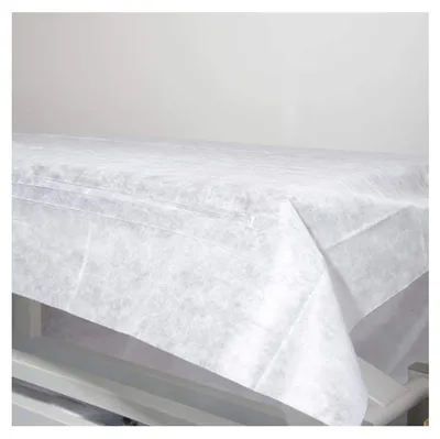 Imagen del producto de Elzusha - Sábanas desechables de 80 x 200 cm para uso higiénico