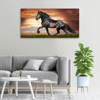 Produktbild von Tulup® Leinwandbild -100x50 cm - Wandkunst - Drucke auf Leinwand - Leinwanddruck  - Tiere - Braun - Pferd