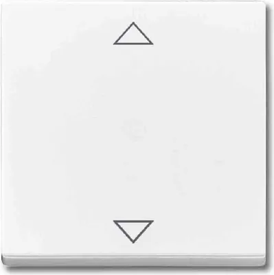 Produktbild von BUSCH JAEGER Bedienelement 6430-81-102