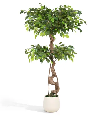 Obrázok produktu pre Vigevee, umelá rastlina Ficus, výška 120 cm, nevyžaduje zalievanie, strihanie ani hnojenie