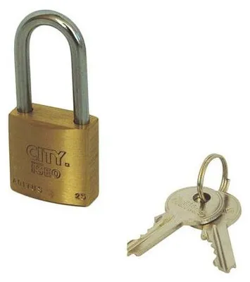 Image de Cadenas à anse longue « ADITUS » ISEO 30 x 46 mm