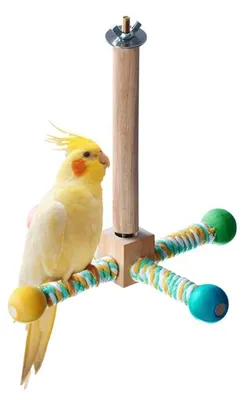 Produktbild von Vogelsitzstangen-Ständerspielzeug 360° drehbar Holz für Sittiche Wellensittiche Nymphensittiche