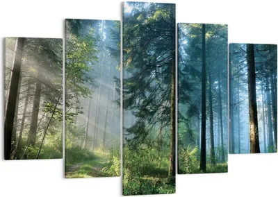 Produktbild von Bild auf Leinwand - Leinwandbild - 5 Teile - Wald Dämmerung die Sonne - 150x100cm - Wand Bild - Wanddeko - Wandbilder - Leinwanddruck - Bilder - Wanddekoration - Leinwand bilder - EA150x100-4398