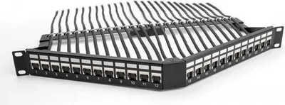 Produktbild von DeLOCK 19″ Keystone Patchpanel 24 Port mit Entlastungsschiene 1 HE gewinkelt schwarz, Rackeinbau, 1U, Schwarz, Metall, 240 mm, 483 mm
