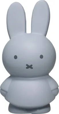 Produktbild von Atelier Pierre Miffy Mini Spardose Silver Blue