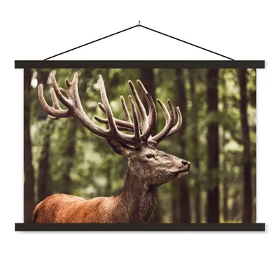 Produktbild von MuchoWow® Textilposter Hirsch - Natur - Geweih - Wald - Tiere 60x40 cm mit schwarzem Rahmen - Hölzernes