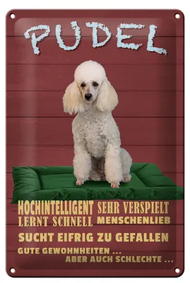 Produktbild von Blechschild Spruch 20x30cm Pudel hochintelligent lieb Hund