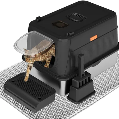 Produktbild von XL Katzenklo - Edelstahl Katzenbox - Abnehmbarer Deckel - Leicht zu Reinigen - 61x41x39 cm