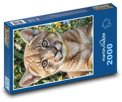 Zdjęcie produktu dla martinpuzzle - Puzzle 2000 - Puma - kot