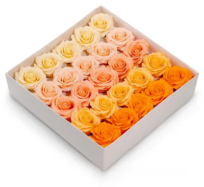 Image de Domosfera Roses en Savon 25 Pièces Tons Orange