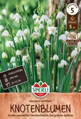 Produktbild von SPERLI Sommerknotenblume Leucojum aestivum 5 Zwiebeln