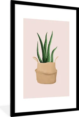 Produktbild von MuchoWow® MuchoWow® Gerahmtes Poster Pflanzen - Aloe Vera - Pastell - Rosa 60x90 cm - Poster mit zchwarzem Bilderrahmen - Dekoration - Wandposter Wohnzimmer - Hochwertig