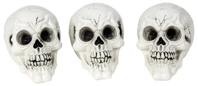 Produktbild von Mel-O-Design 2169 3er Set Halloween-Totenköpfen