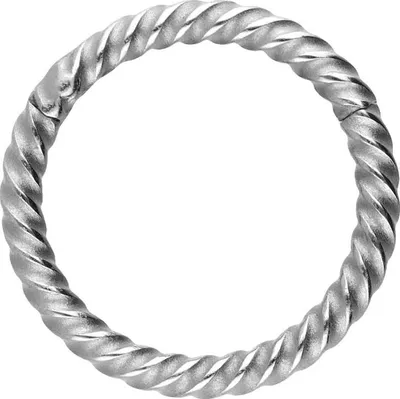 Produktbild von Ohrpiercing, Nasenpiercing, Septum Piercing Chirurgenstahl Segmentring Clicker GEDREHT