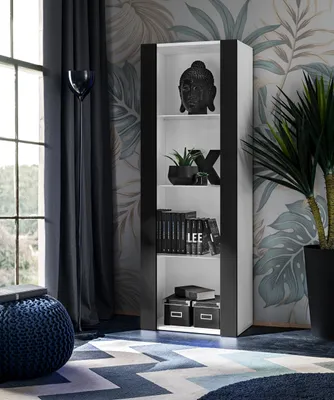 A modern living room with a bookshelf, plants, and a rug.